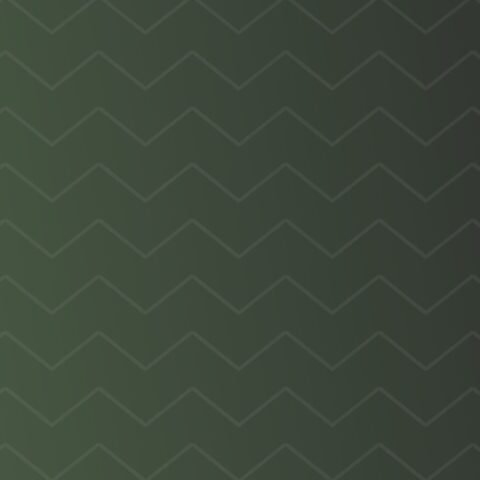 استراحة العارض 2